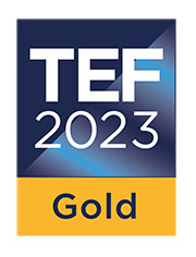 TEF Gold icon