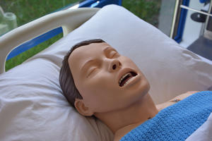 head and shoulders of a synthetic patient on a bed