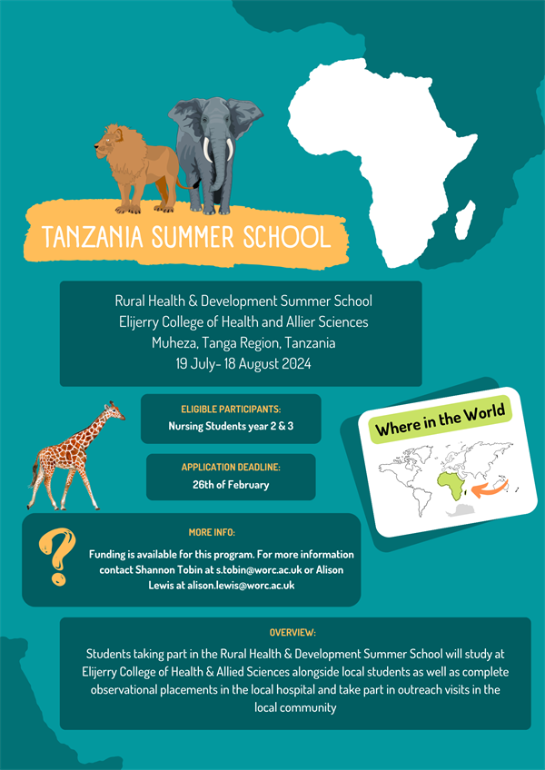 Flyer with infomation about the Tanzania Summer School 2024